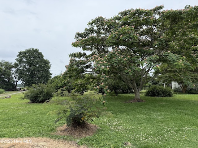 110 N Main St, Colerain, NC 27924 - view of green lawn