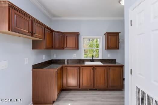 225 Factory Rd, Hampstead, NC 28443 - kitchen featuring a sink, ornamental molding, light wood-type flooring, dark countertops, and brown cabinets