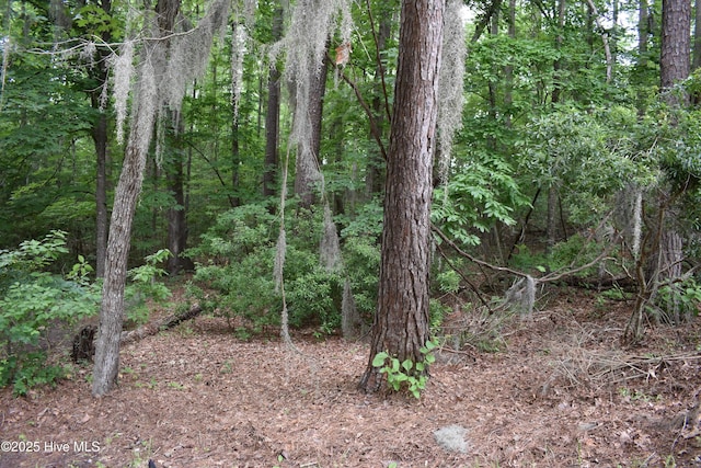 LOT6 River Rd, Blounts Creek, NC 27814