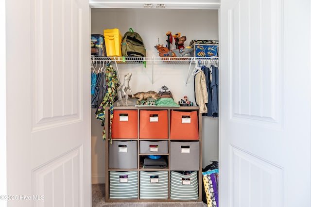 522 Heartwood Dr, Leland, NC 28479 - view of closet