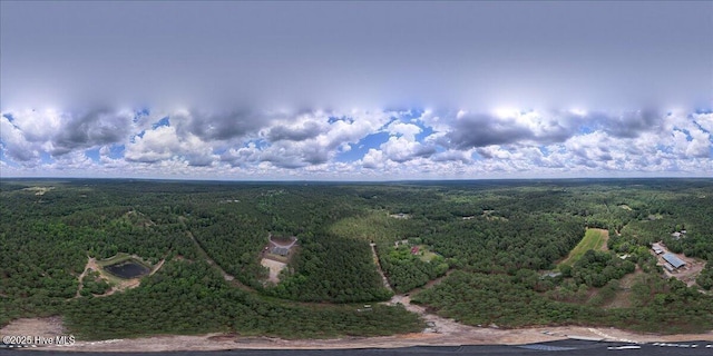 445 Oldham Rd, West End, NC 27376 - drone / aerial view of a forest
