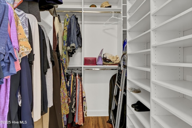 5622 Shell Road Village Dr, Wilmington, NC 28403 - spacious closet with wood finished floors