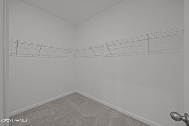 1008 Rodanthe Dr, New Bern, NC 28562 - walk in closet with carpet floors