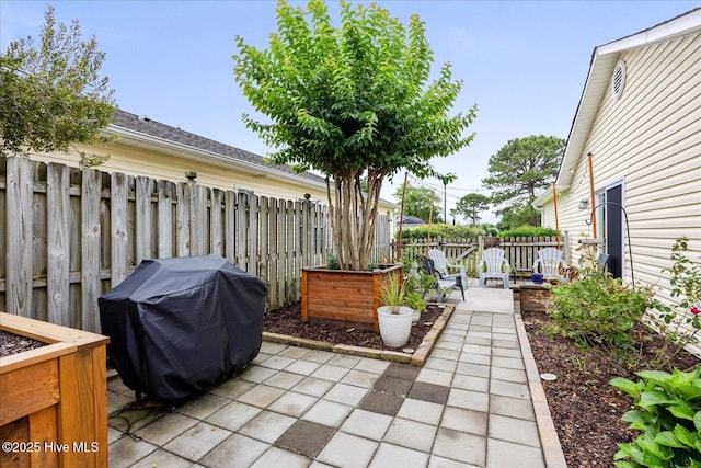 222 Bridgeton Ct, Wilmington, NC 28411 - fenced backyard with a patio and grilling area