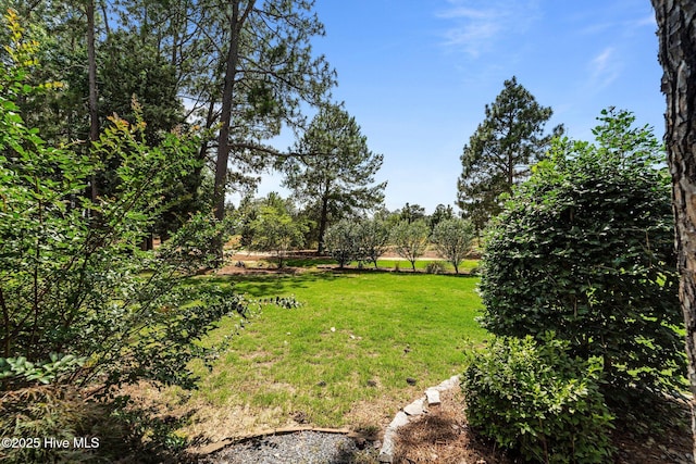 30 Spring Valley Ct, Pinehurst, NC 28374 - view of green lawn