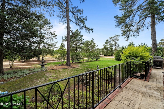30 Spring Valley Ct, Pinehurst, NC 28374 - view of patio / terrace featuring grilling area