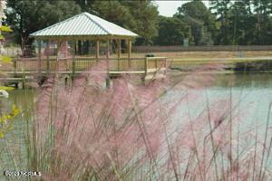 518 Sailor Sky Way Unit 398, Hampstead, NC 28443 - view of community featuring a gazebo and a water view