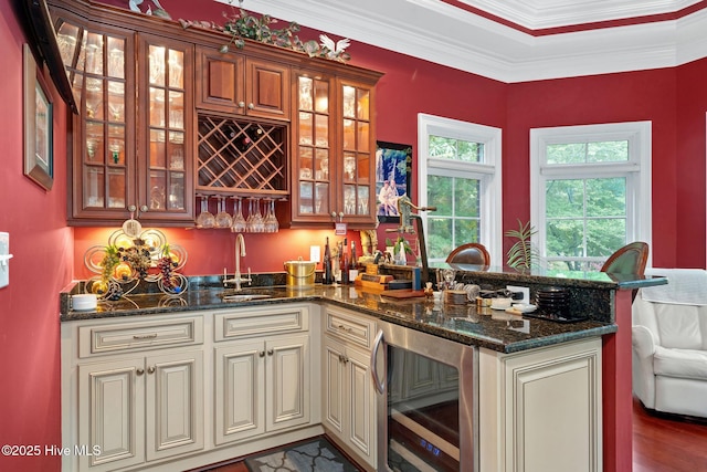 249 Maple Creek Dr, Wallace, NC 28466 - indoor wet bar featuring beverage cooler, crown molding, and dark wood-style floors