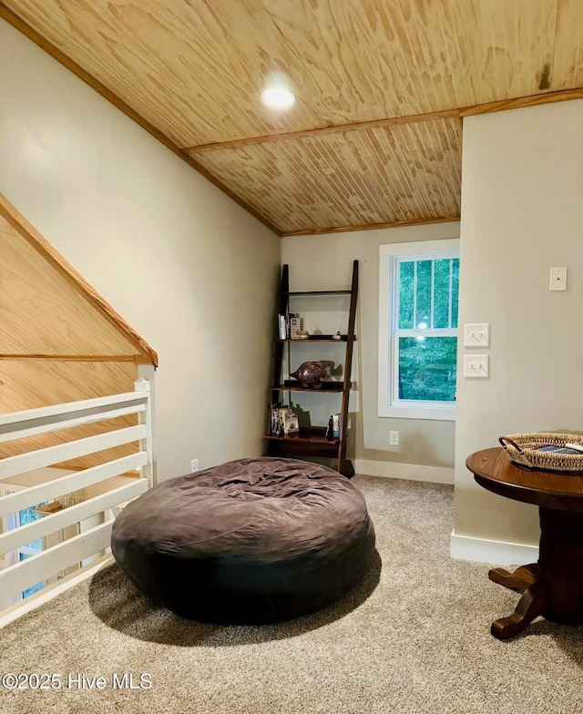 1044 Mill Creek Rd, Minnesott Beach, NC 28510 - miscellaneous room with wooden ceiling, carpet flooring, and baseboards