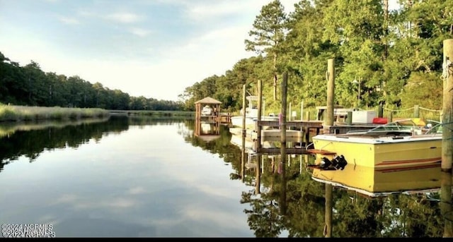 1044 Mill Creek Rd, Minnesott Beach, NC 28510 - dock area with a water view and a view of trees