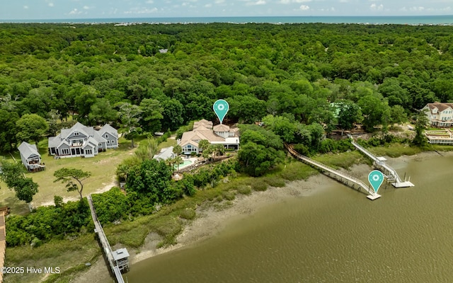 3530 Van Buren St SW, Supply, NC 28462 - drone / aerial view of a forest and a nearby body of water