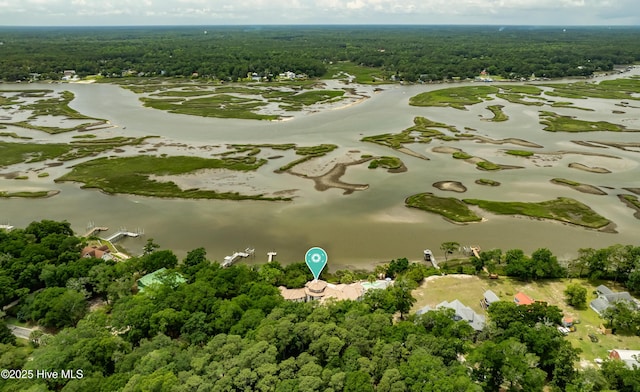 3530 Van Buren St SW, Supply, NC 28462 - drone / aerial view of a heavily wooded area and a large body of water