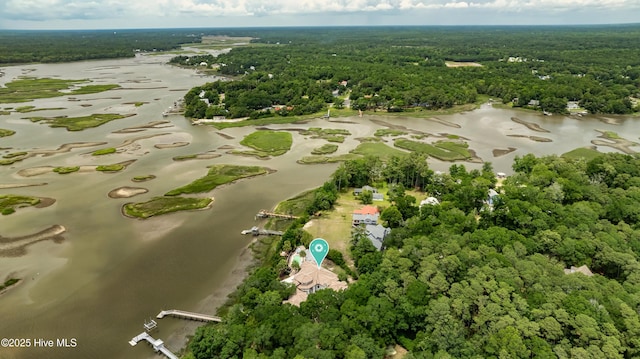 3530 Van Buren St SW, Supply, NC 28462 - view of property location with a heavily wooded area and a large body of water