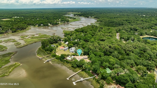 3530 Van Buren St SW, Supply, NC 28462 - aerial overview of property's location with a forest and a nearby body of water