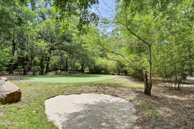 3530 Van Buren St SW, Supply, NC 28462 - view of home's community featuring a putting area