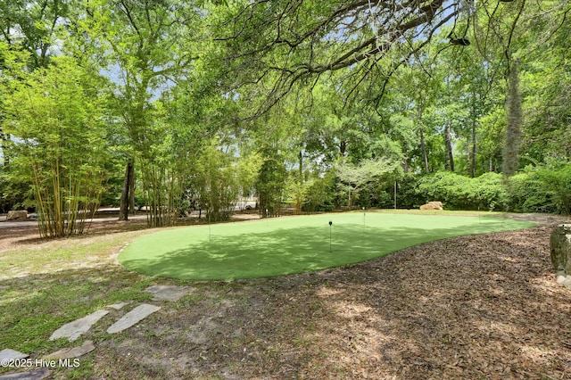 3530 Van Buren St SW, Supply, NC 28462 - view of yard featuring an area to practice putting