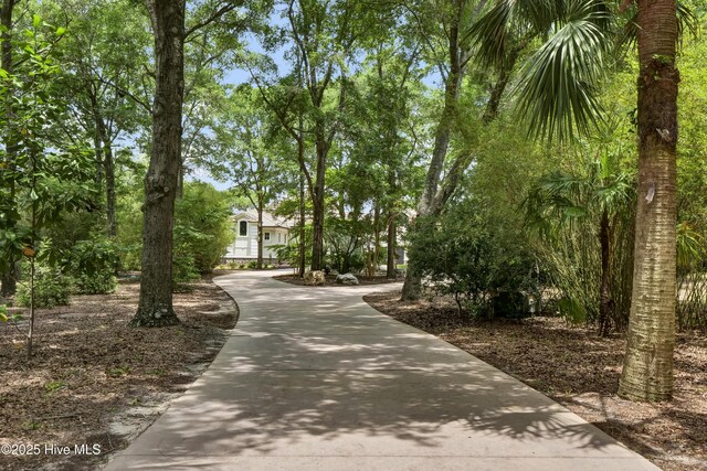 3530 Van Buren St SW, Supply, NC 28462 - view of home's community featuring concrete driveway