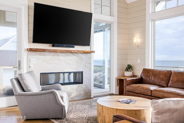224 W Bald Head Wynd Wynd, Bald Head Island, NC 28461 - living area with plenty of natural light, a high end fireplace, a water view, and wood finished floors