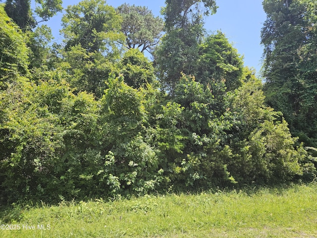 245 Sleepy Point Rd, Gloucester, NC 28528