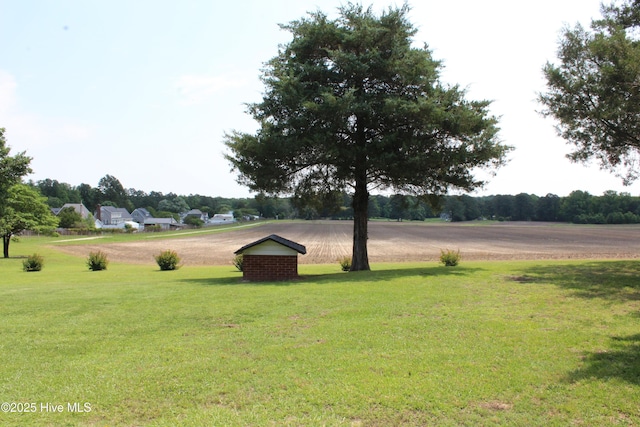 2945 US Highway 17, Williamston, NC 27892 - view of green lawn