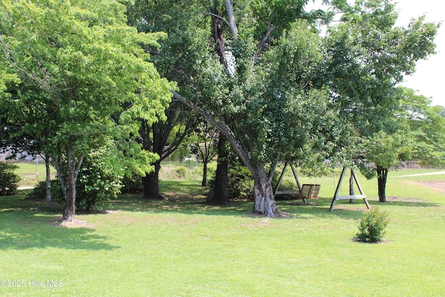 2945 US Highway 17, Williamston, NC 27892 - view of grassy yard