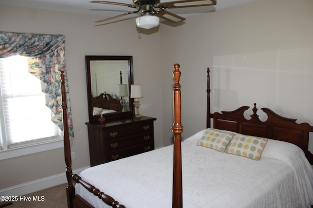 2945 US Highway 17, Williamston, NC 27892 - carpeted bedroom with multiple windows, ceiling fan, and baseboards