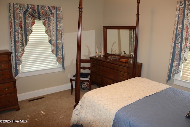 2945 US Highway 17, Williamston, NC 27892 - carpeted bedroom with baseboards