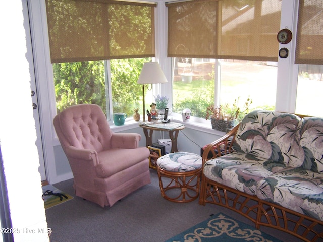 145 Pinehurst Trace Dr, Pinehurst, NC 28374 - sunroom / solarium featuring carpet flooring