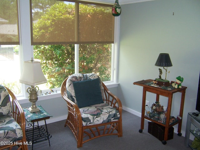 145 Pinehurst Trace Dr, Pinehurst, NC 28374 - sunroom featuring carpet flooring and baseboards