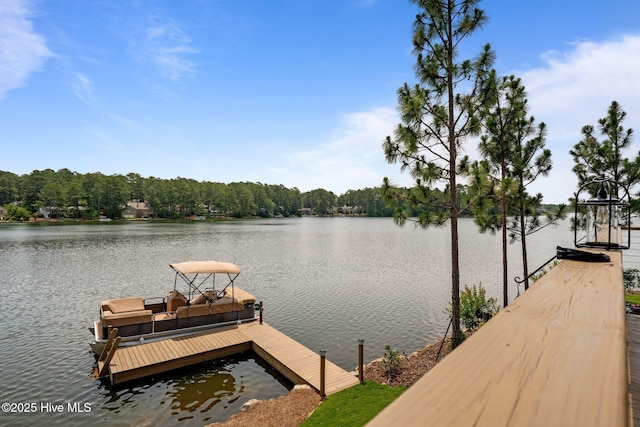 4 Lake Shore Ct, Pinehurst, NC 28374 - dock area with a water view