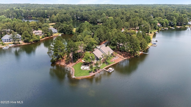 4 Lake Shore Ct, Pinehurst, NC 28374 - bird's eye view of a heavily wooded area and a large body of water