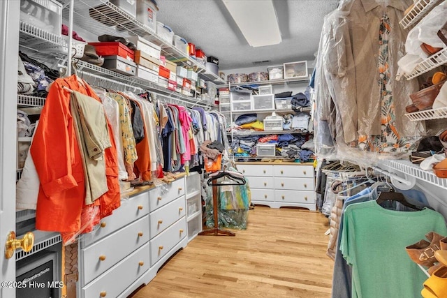 813 Cutter Ct, Kure Beach, NC 28449 - spacious closet with light wood finished floors