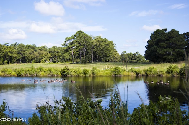 494 Sailor Sky Way Unit 400, Hampstead, NC 28443 - water view