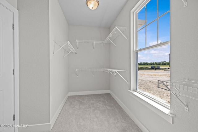 101 Claire Ct, Moyock, NC 27958 - walk in closet featuring carpet