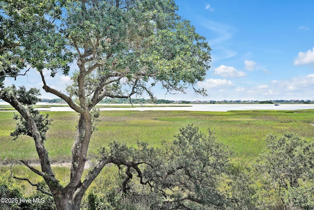 3343 Channelside Dr SW, Supply, NC 28462 - view of yard