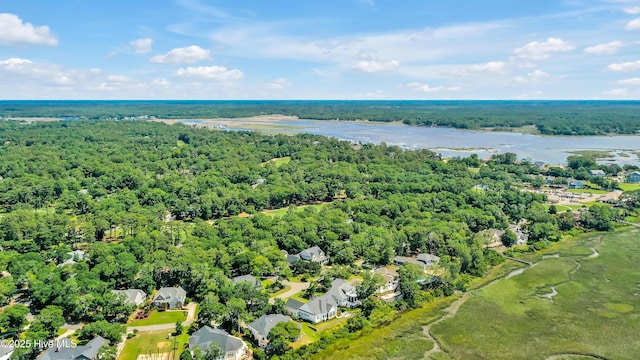 3343 Channelside Dr SW, Supply, NC 28462 - aerial perspective of suburban area featuring a forest and a large body of water