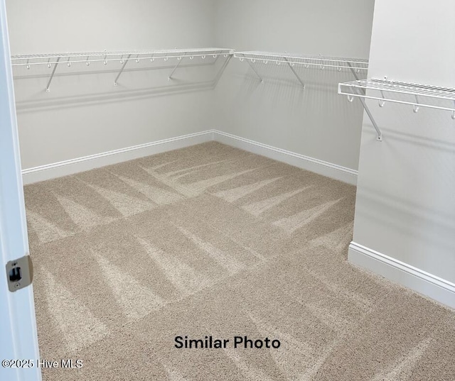1822 Olde Towne Pointe Blvd, Jacksonville, NC 28546 - walk in closet with carpet