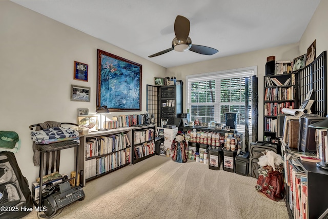 208 Bloomington Ln, Wilmington, NC 28411 - home office featuring carpet flooring and a ceiling fan