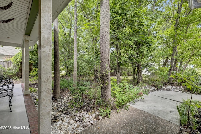208 Bloomington Ln, Wilmington, NC 28411 - view of patio / terrace