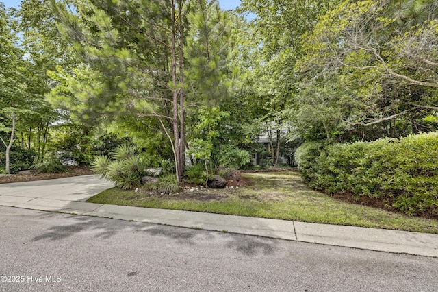 208 Bloomington Ln, Wilmington, NC 28411 - view of property hidden behind natural elements