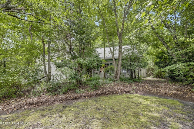 208 Bloomington Ln, Wilmington, NC 28411 - view of yard