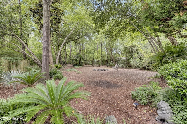 208 Bloomington Ln, Wilmington, NC 28411 - view of yard