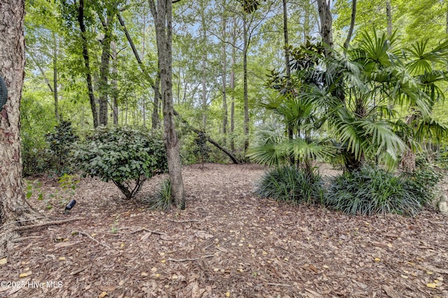 208 Bloomington Ln, Wilmington, NC 28411 - view of nature