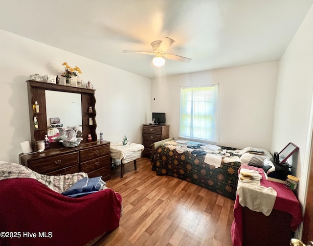 1144 Nashville Rd, Rocky Mount, NC 27803 - bedroom with wood finished floors and ceiling fan