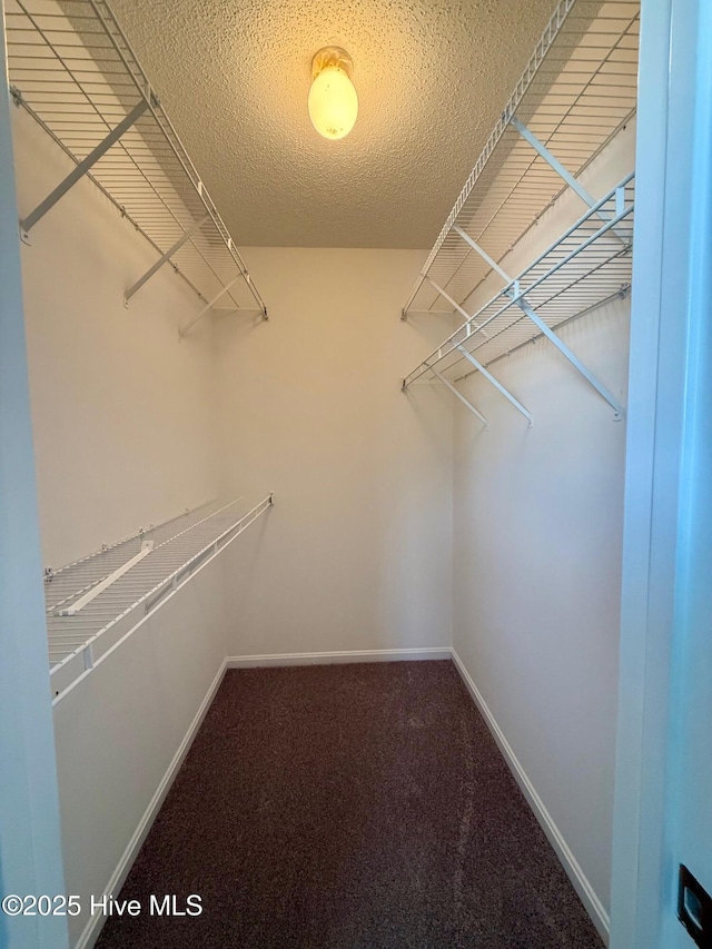2104 Flagstone Ct Unit A-4, Greenville, NC 27834 - walk in closet with carpet flooring