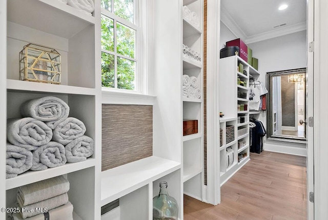1830 Senova Trce, Wilmington, NC 28405 - walk in closet with wood finished floors