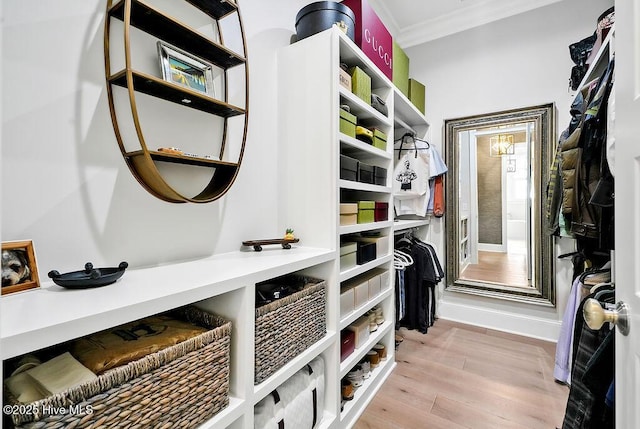 1830 Senova Trce, Wilmington, NC 28405 - walk in closet featuring light wood finished floors