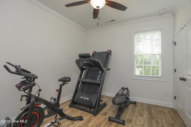 637 White Oak Xing, Swansboro, NC 28584 - exercise room featuring crown molding, a ceiling fan, and wood finished floors