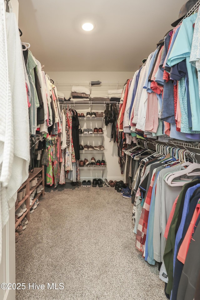 637 White Oak Xing, Swansboro, NC 28584 - view of walk in closet