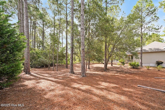 3853 Winding Vine Way, Southport, NC 28461 - view of yard